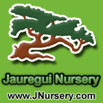 Jauregui Nursery - JNursery.com - Nursery - Long Beach, CA 