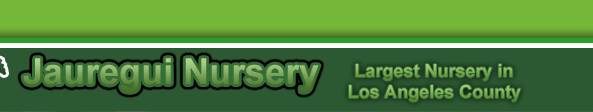 Jauregui Nursery - JNursery.com - Long Beach, Carson, Los Angeles, Orange County, San Diego, Southern California