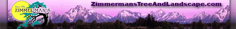 Zimmerman's Tree & Landscape - Long Beach, CA